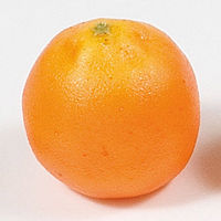 KMA　【食品サンプル】模型 オレンジ 5個入　049-4236510-5　1セット（5個入）（直送品）