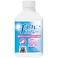 手ピカスプレー付替用 420ml 5本 健栄製薬