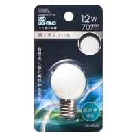 株式会社オーム電機 ＬＥＤ　Ｇ３０Ｅ１７　１．２Ｗ　Ｎ 06-4629 1個（直送品）