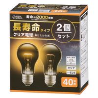 オーム電機 長寿命クリア電球40W2P 06-4753 1個