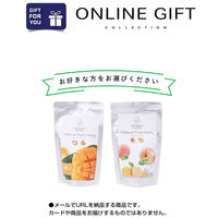 AoyamaLab ギフト「shirokane sweets TOKYO」選べるフルーツアイスキャンディ