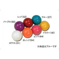 HATACHI(ハタチ) リクレーション ボール カラーボール ブルー GB992 5個（直送品）