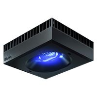 Red Sea レッドシー　ＲＥＥＦ　ＬＥＤ　１６０　サンゴ 257769 1個（直送品）