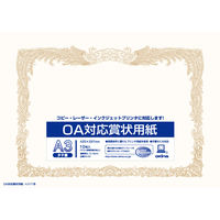 オキナ ＯＡ対応賞状用紙　１０枚入り SX-A3 1パック