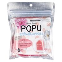 石原商店 POPU ポリウレタンスポンジ ハウス形 6個入 ISP-PU03　1袋(6個入)×10セット（直送品）