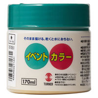 ターナー色彩 イベントカラー 170ML