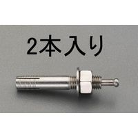 エスコ M12x 70mm 雄ねじアンカー(ステンレス製/2本) EA945BC-121 1セット(10本:2本×5パック)（直送品）