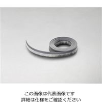 エスコ 10mm/3m シールブラシ(ナイロン製/シルバー) EA979K-1 1セット(2本)（直送品）