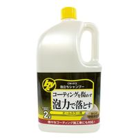 ハンディ・クラウン 泡立ちシャンプー 2L CW-012 1本