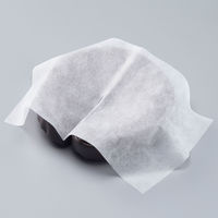 アスクル　不織布ピローシート スリットカット　ホワイト　使い捨て　フェイスカバー　枕カバー　1袋（500枚入）  オリジナル