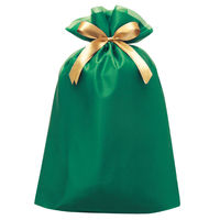 包む ギフトバッグ 巾着 オーガンジー LLサイズ グリーン TD015 1セット（2個）（直送品）