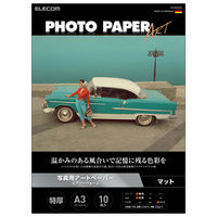 プリンター用紙 写真用紙 A3 10枚 マット 写真用アートペーパー 特厚手 ホワイト EJK-AWA310 エレコム 1個