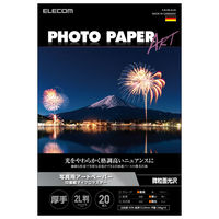 プリンター用紙 写真用紙 2L判 20枚 微光沢 写真用アートペーパ 印画紙 厚手 ホワイト EJK-ML2L20 エレコム 1個
