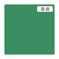 スリーエム ジャパン ３Ｍスコッチカル　ＸＬ　ＴＰ３７０９ＸＬ　ファンタジーグリーン　１０００ｍｍＸ５０ｍ 055624 1本（直送品）