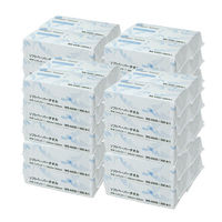 小野商事 ペーパータオル ソフトタイプ 中判（レギュラーサイズ） 300枚入×40パック WS6420 1ケース（40パック）（直送品）