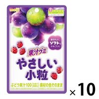 果汁グミやさしい小粒ぶどう 10袋 明治