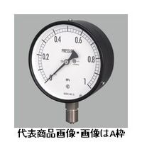 長野計器 普通形圧力計（屋内・耐食用）φ60 埋込形 AA15-123-0.16MPA 1個（直送品）