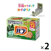 バブ お試し クラフトパッケージ 花王 （透明タイプ） 親子で工作＆塗り絵