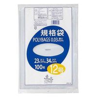 オルディ ゴミ袋 規格袋 12号 厚さ0.03mm 100枚入り ポリバッグ 透明 185556 1個（取寄品）