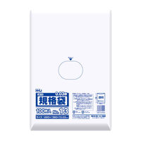ハウスホールドジャパン ゴミ袋 規格袋 13号 食品検査適合 厚さ0.03mm 100枚入り 透明 349103 1個（取寄品）