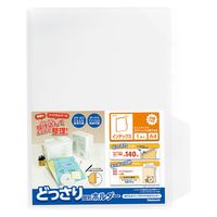 ナカバヤシ どっさり個別ホルダーＡ４インデックス１枚 CH-4134C 15冊（直送品）