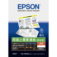 エプソン　両面上質普通紙（再生紙）　A4 KA4250NPDR　1冊（250枚入）（わけあり品）