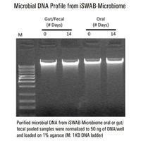 DNA検体保管チューブ（iSWAB）600uL 50本入 ISD-T-250-R 4-4851-02（直送品）