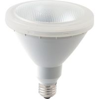 ナガオカ ビームランプ型LED