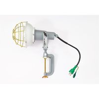 日動工業 安全投光器 白熱球(レフ球) AF-E300 1セット(2個)（直送品）