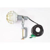 日動工業 安全投光器 白熱球(レフ球) AF-E310 1セット(2個)（直送品）