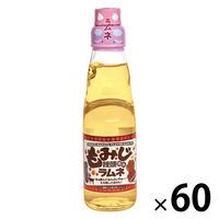 中京医薬品 ラムネ 瓶 200ml