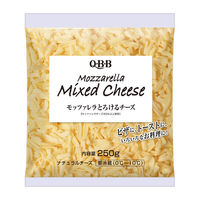 [冷蔵]QBB モッツァレラとろけるチーズ 250g×2個 4903308060621 1箱(2個) 六甲バター（直送品）