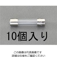 エスコ 250Vx 10A/φ6.4mm 管ヒューズ(10本) EA758ZZ-10 1セット(100本:10本×10パック)（直送品）