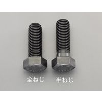 エスコ M12x 25mm [ISOー10.9]六角頭ボルト(2本) EA949HD-1201 1セット(60本:2本×30袋)（直送品）