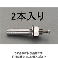 エスコ M6x 60mm 雄ねじアンカー(ステンレス製/2本) EA945BC-62 1セット(20本:2本×10パック)（直送品）