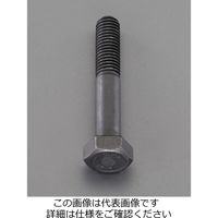 エスコ M12x120mm [高強度・高張力]六角ボルト(1個) EA949JC-2120 1セット(20個:1個×20袋)（直送品）