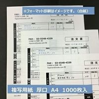 日本紙パルプ商事 複写用紙 厚口 (#60) A4 1000枚 PP1404 1箱（直送品）