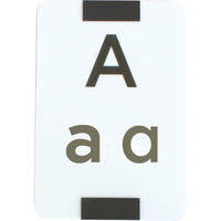 三和製作所 アルファベット学習セット カード教材単品 617-259 1個（直送品）