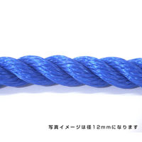 伊藤製鋼 ポリエチレンロープ　青　４ｍｍ　２００ｍ巻 6300040547 1巻（直送品）