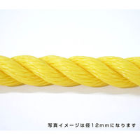 伊藤製鋼 ポリエチレンロープ　黄　３ｍｍ　１００ｍ巻 6300040570 1巻（直送品）