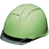 DIC 透明バイザーヘルメット AP11EVOーC KP フレッシュグリーン/スモーク AP11EVO-C-HA6-KP-FG/S 1個（直送品）
