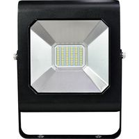 日惠製作所 NIKKEI LED投光器 ニコライトテラスD 白色 AC100~200V 30W プラグ付き NL30W-200ZGE/P 1個（直送品）