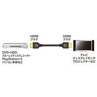 サンワサプライ イーサネット対応ハイスピードHDMIケーブル KM-HD20-SS 1本