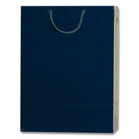 【ケース販売】HEIKO 紙袋 ブライトバッグ G2 紫紺 006138023 1ケース(10枚入×15袋 合計150枚)（直送品）