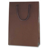 【ケース販売】HEIKO 紙袋 ブライトバッグ SWT チョコブラウン(MT) 006138270 1ケース(10枚入×30袋)（直送品）