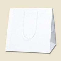 【ケース販売】シモジマ HEIKO 紙袋 アレンジバッグ M 白無地 006441101 1ケース(10枚入×5袋 合計50枚)（直送品）