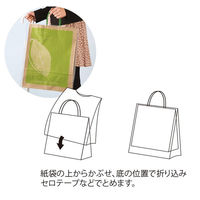 【ケース販売】HEIKO 雨用紙袋カバー レイニーポリ 29-41 (MS-1用) 006607051 1ケース(50枚×10袋)（直送品）