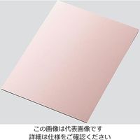 サンハヤト（Sunhayato） 銅張積層板 （プリント基板） ガラスエポキシ・両面 100×200×1.6 1個 3-1928-04（直送品）