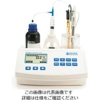 ハンナ インスツルメンツ・ジャパン 酸度/pH測定器 HI 84529 1個 3-4720-02（直送品）