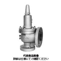 ベン 安全弁 SF14LーG1ー80A SF14L-G1-80A 1個（直送品）